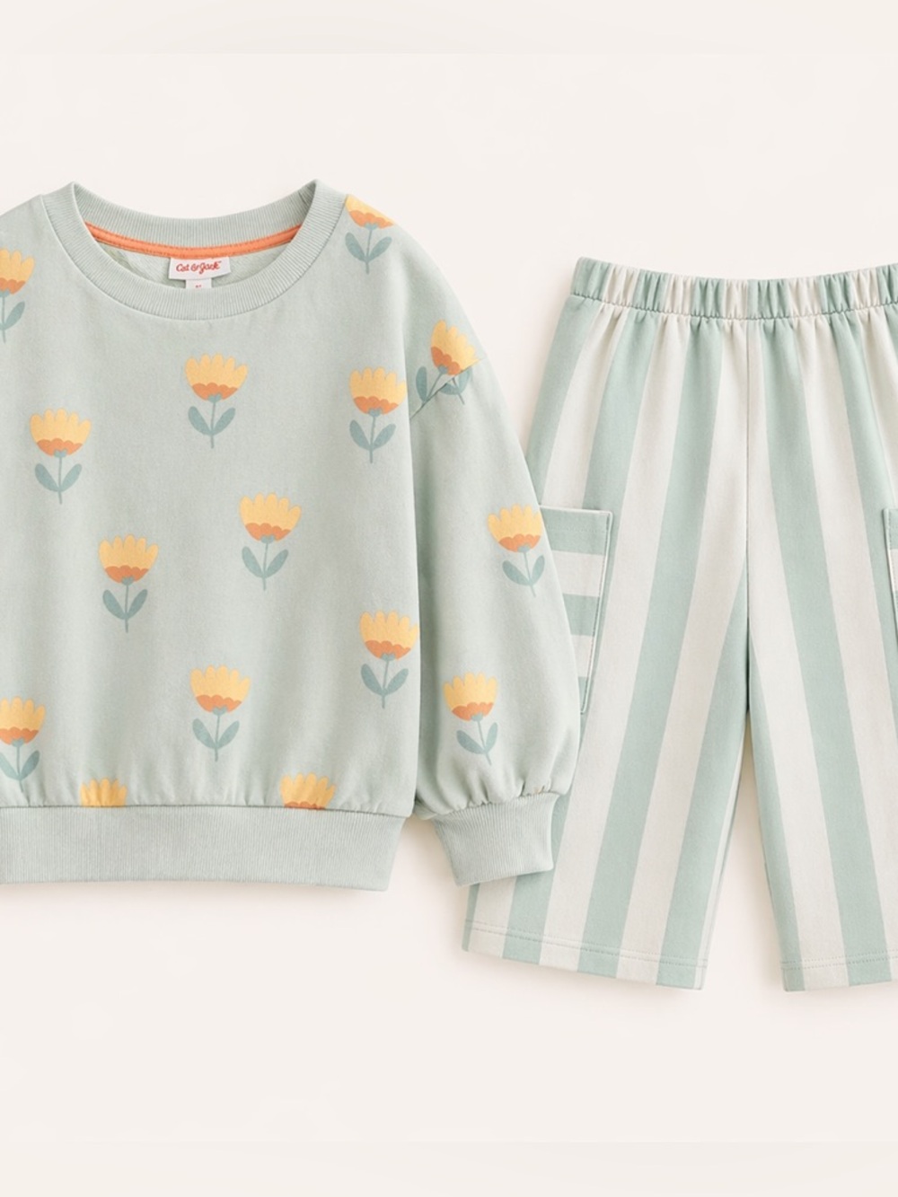 Cat & Jack Girls 2 Piece Set Size 4T Floral Sweatshirt & Striped Pants Matching